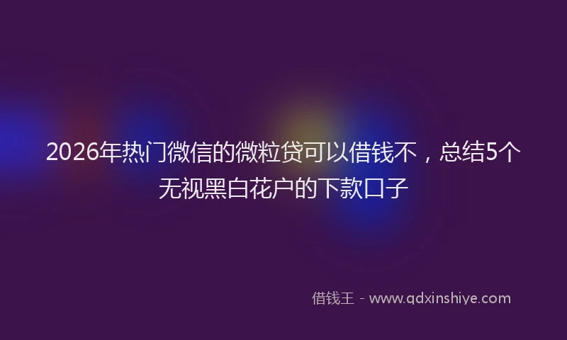 2026年热门微信的微粒贷可以借钱不，总结5个无视黑白花户的下款口子