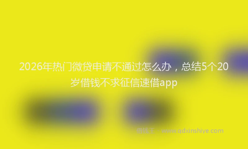 2026年热门微贷申请不通过怎么办，总结5个20岁借钱不求征信速借app