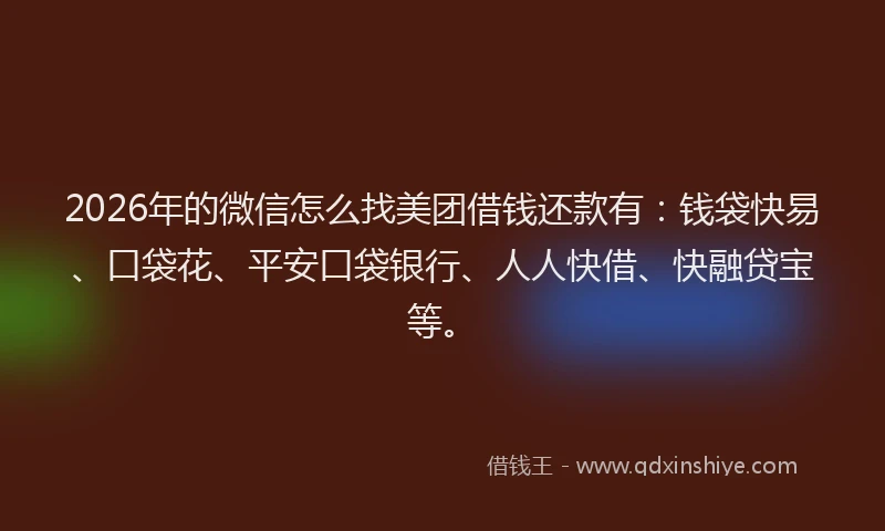 2026年的微信怎么找美团借钱还款有：钱袋快易、口袋花、平安口袋银行、人人快借、快融贷宝等。