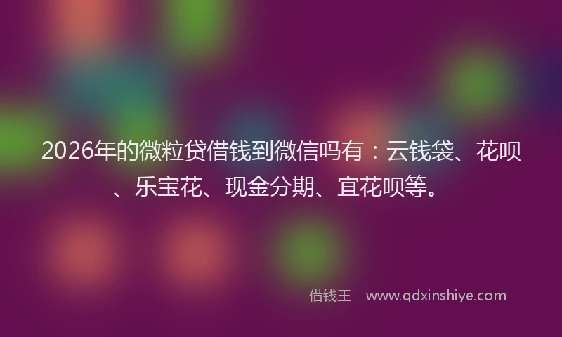 2026年的微粒贷借钱到微信吗有：云钱袋、花呗、乐宝花、现金分期、宜花呗等。