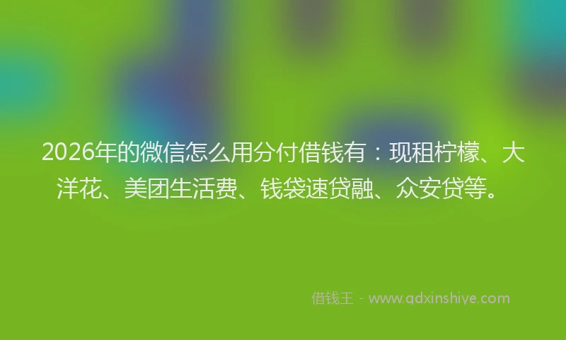 2026年的微信怎么用分付借钱有：现租柠檬、大洋花、美团生活费、钱袋速贷融、众安贷等。