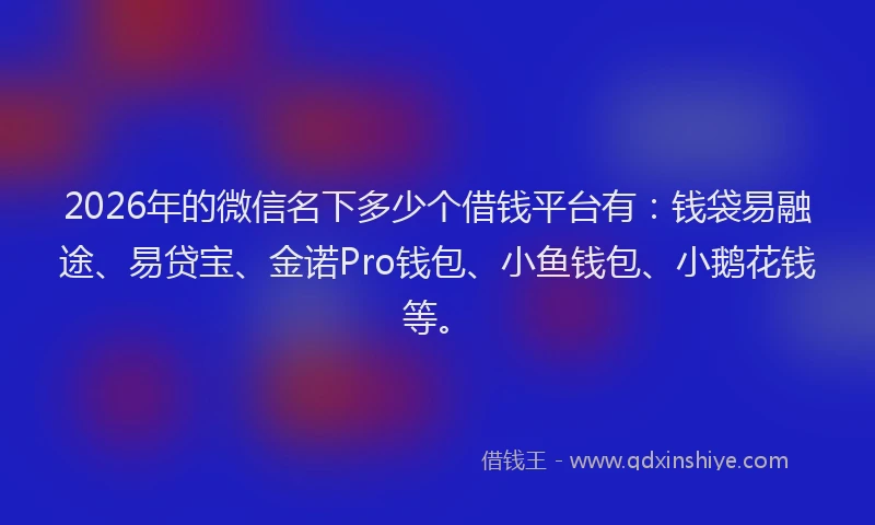 2026年的微信名下多少个借钱平台有：钱袋易融途、易贷宝、金诺Pro钱包、小鱼钱包、小鹅花钱等。