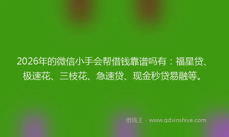 2026年的微信小手会帮借钱靠谱吗有：福星贷、极速花、三枝花、急速贷、现金秒贷易融等。