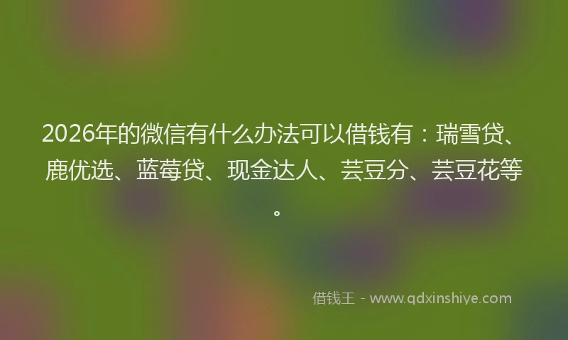 2026年的微信有什么办法可以借钱有：瑞雪贷、鹿优选、蓝莓贷、现金达人、芸豆分、芸豆花等。