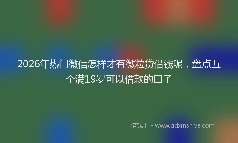 2026年热门微信怎样才有微粒贷借钱呢，盘点五个满19岁可以借款的口子