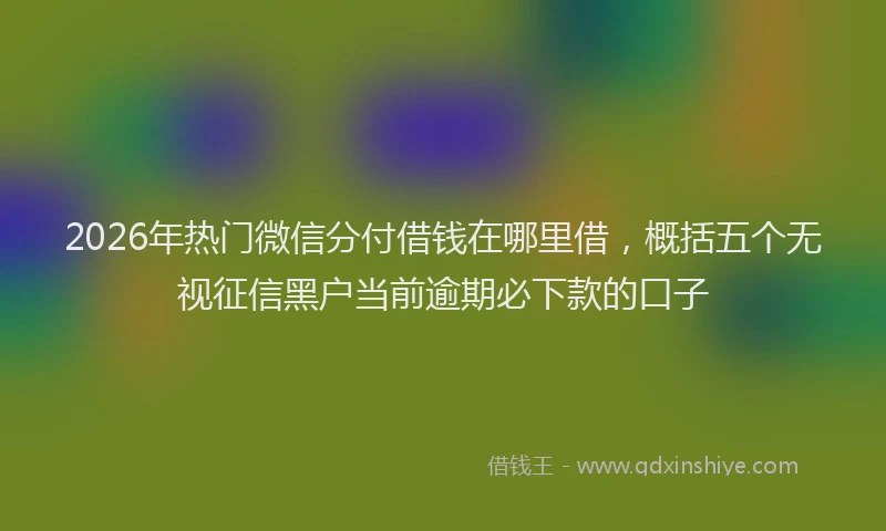 2026年热门微信分付借钱在哪里借，概括五个无视征信黑户当前逾期必下款的口子