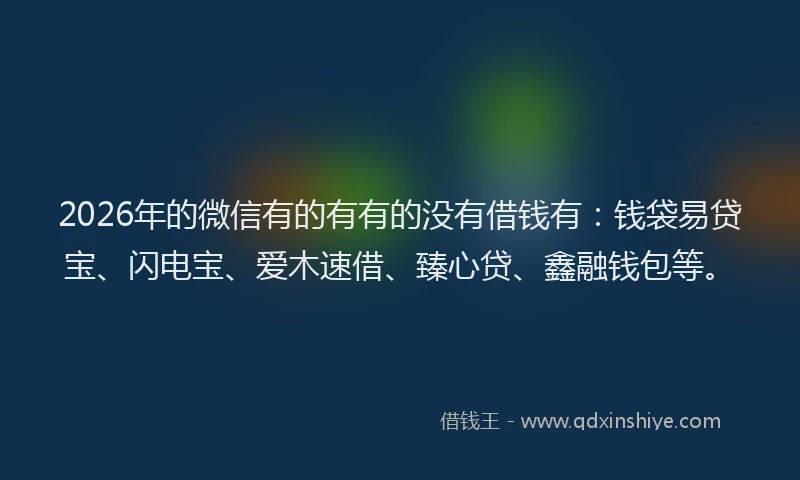 2026年的微信有的有有的没有借钱有：钱袋易贷宝、闪电宝、爱木速借、臻心贷、鑫融钱包等。