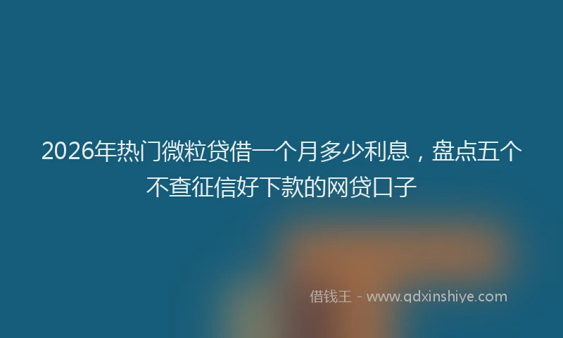 2026年热门微粒贷借一个月多少利息,盘点五个不查征信好下款的网贷口子