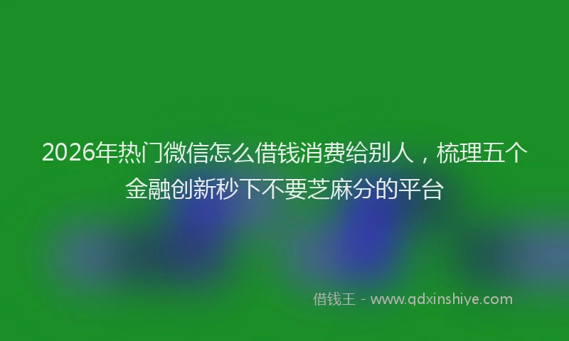 2026年热门微信怎么借钱消费给别人，梳理五个金融创新秒下不要芝麻分的平台