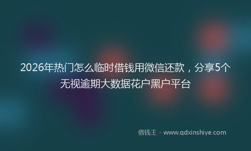 2026年热门怎么临时借钱用微信还款，分享5个无视逾期大数据花户黑户平台