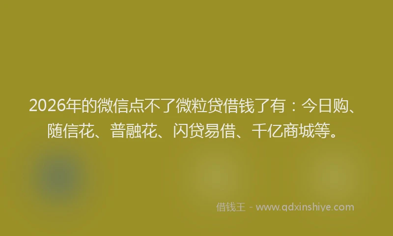 2026年的微信点不了微粒贷借钱了有：今日购、随信花、普融花、闪贷易借、千亿商城等。
