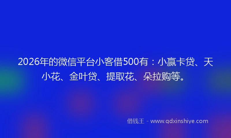 2026年的微信平台小客借500有：小赢卡贷、天小花、金叶贷、提取花、朵拉购等。