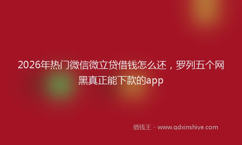 2026年热门微信微立贷借钱怎么还，罗列五个网黑真正能下款的app