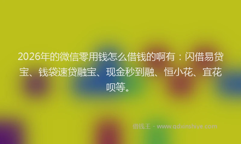 2026年的微信零用钱怎么借钱的啊有：闪借易贷宝、钱袋速贷融宝、现金秒到融、恒小花、宜花呗等。