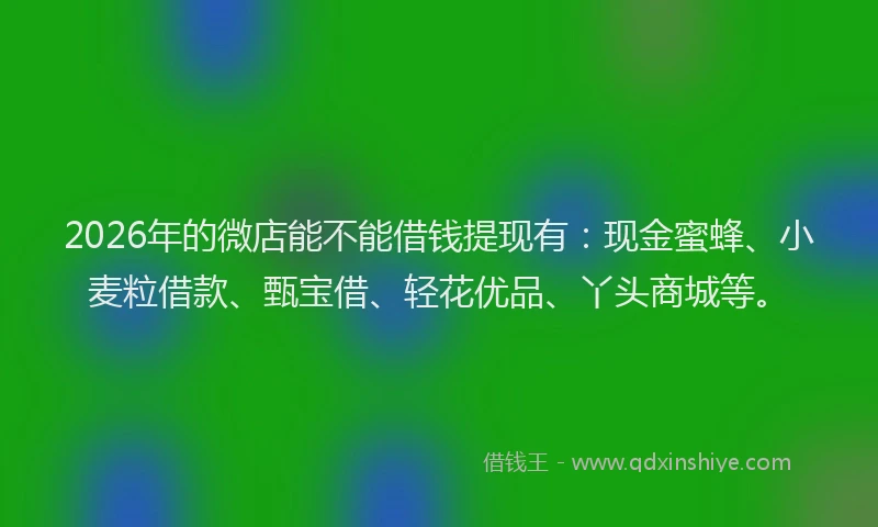 2026年的微店能不能借钱提现有:现金蜜蜂、小麦粒借款、甄宝借、轻花优品、丫头商城等。