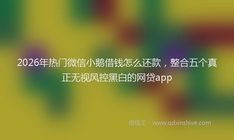2026年热门微信小鹅借钱怎么还款，整合五个真正无视风控黑白的网贷app