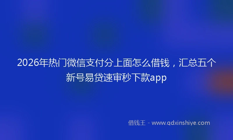 2026年热门微信支付分上面怎么借钱,汇总五个新号易贷速审秒下款app