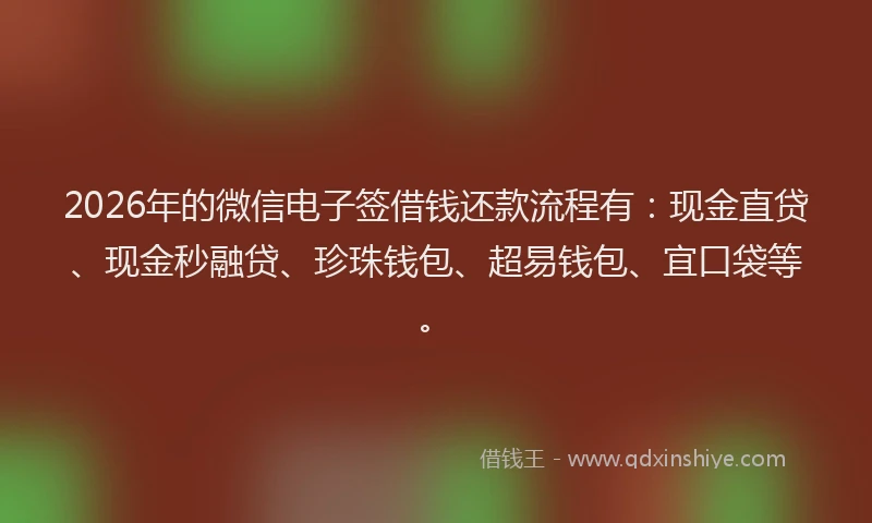2026年的微信电子签借钱还款流程有：现金直贷、现金秒融贷、珍珠钱包、超易钱包、宜口袋等。