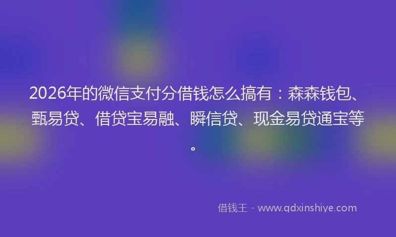 2026年的微信支付分借钱怎么搞有：森森钱包、甄易贷、借贷宝易融、瞬信贷、现金易贷通宝等。