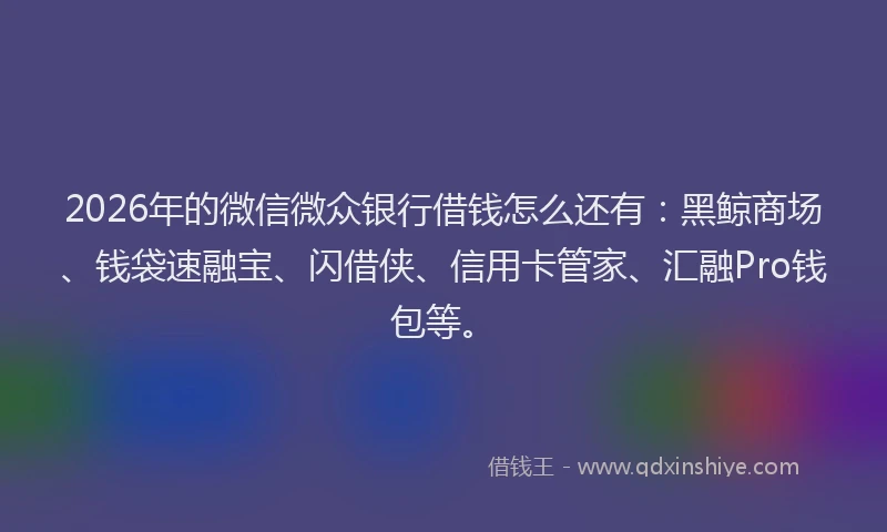 2026年的微信微众银行借钱怎么还有：黑鲸商场、钱袋速融宝、闪借侠、信用卡管家、汇融Pro钱包等。