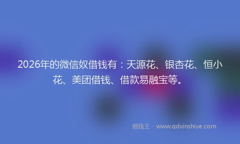 2026年的微信奴借钱有：天源花、银杏花、恒小花、美团借钱、借款易融宝等。