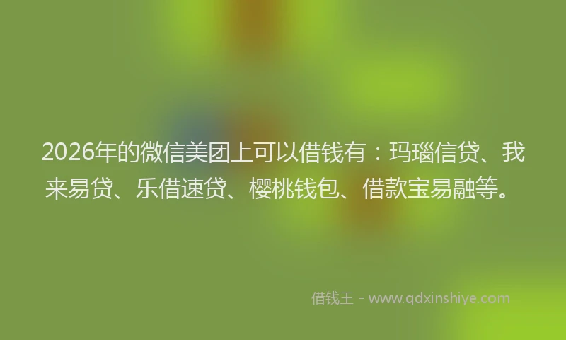 2026年的微信美团上可以借钱有：玛瑙信贷、我来易贷、乐借速贷、樱桃钱包、借款宝易融等。