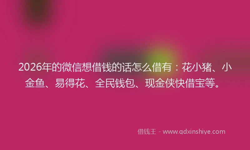 2026年的微信想借钱的话怎么借有：花小猪、小金鱼、易得花、全民钱包、现金侠快借宝等。