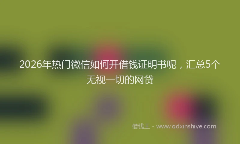 2026年热门微信如何开借钱证明书呢，汇总5个无视一切的网贷
