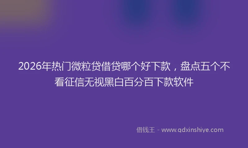 2026年热门微粒贷借贷哪个好下款，盘点五个不看征信无视黑白百分百下款软件