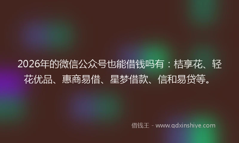 2026年的微信公众号也能借钱吗有：桔享花、轻花优品、惠商易借、星梦借款、信和易贷等。