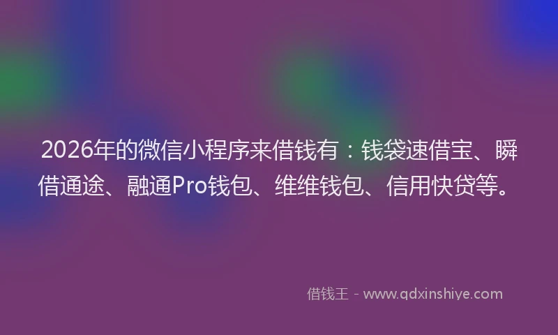 2026年的微信小程序来借钱有：钱袋速借宝、瞬借通途、融通Pro钱包、维维钱包、信用快贷等。
