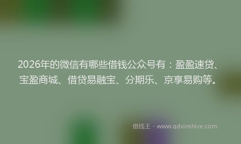 2026年的微信有哪些借钱公众号有：盈盈速贷、宝盈商城、借贷易融宝、分期乐、京享易购等。