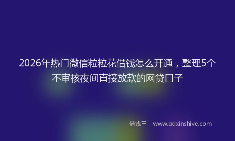2026年热门微信粒粒花借钱怎么开通，整理5个不审核夜间直接放款的网贷口子