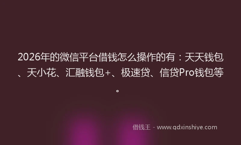 2026年的微信平台借钱怎么操作的有：天天钱包、天小花、汇融钱包+、极速贷、信贷Pro钱包等。