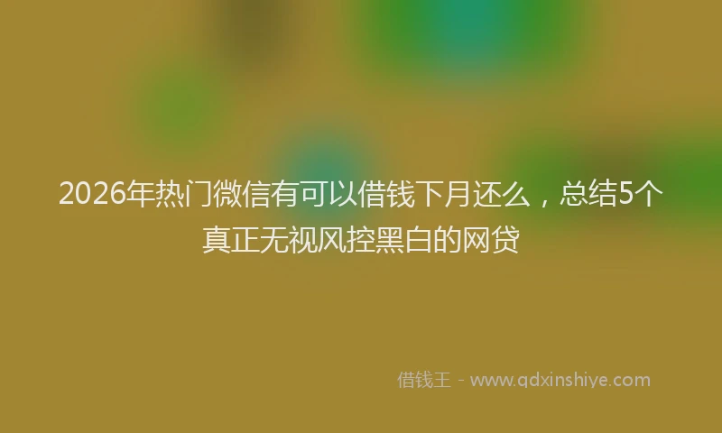 2026年热门微信有可以借钱下月还么，总结5个真正无视风控黑白的网贷