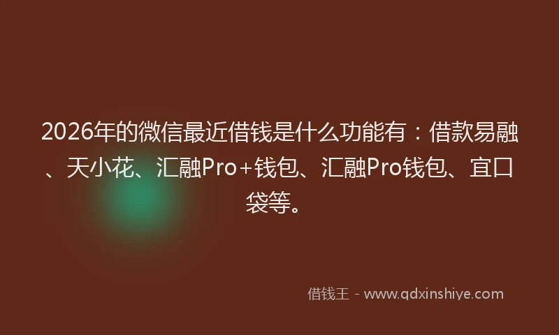 2026年的微信最近借钱是什么功能有：借款易融、天小花、汇融Pro+钱包、汇融Pro钱包、宜口袋等。