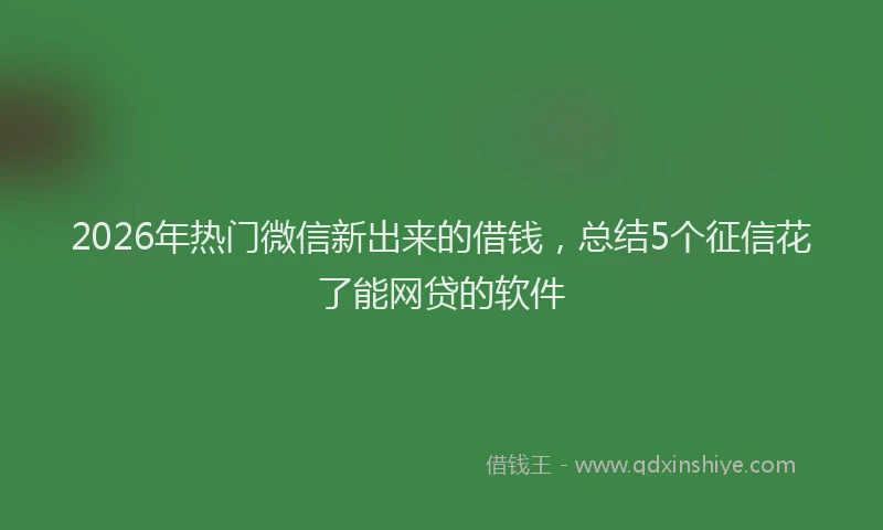 2026年热门微信新出来的借钱，总结5个征信花了能网贷的软件
