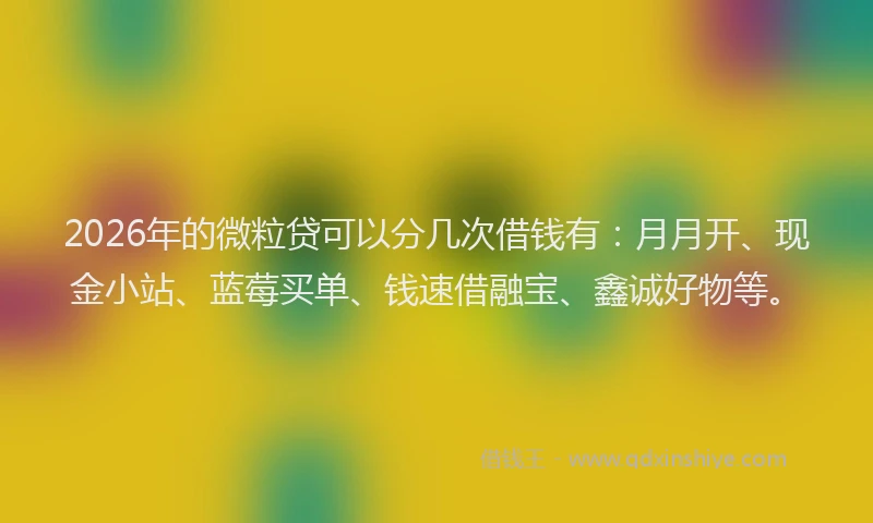 2026年的微粒贷可以分几次借钱有：月月开、现金小站、蓝莓买单、钱速借融宝、鑫诚好物等。
