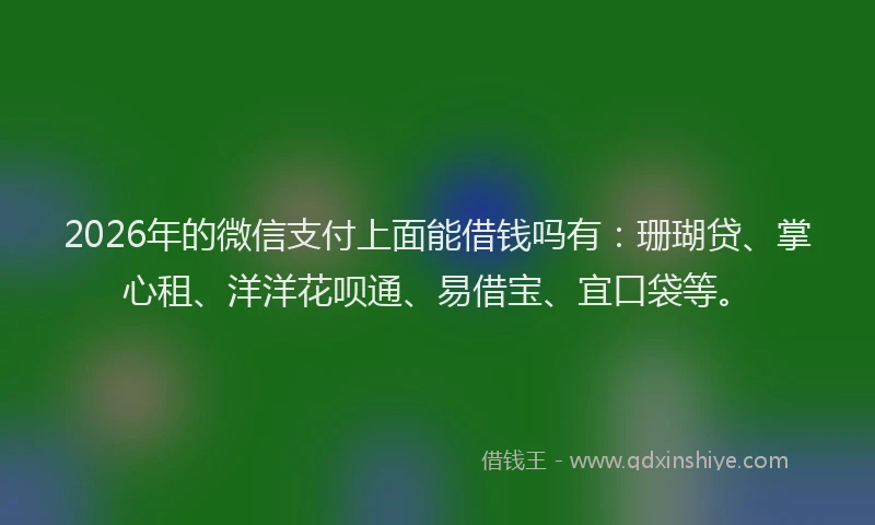 2026年的微信支付上面能借钱吗有：珊瑚贷、掌心租、洋洋花呗通、易借宝、宜口袋等。