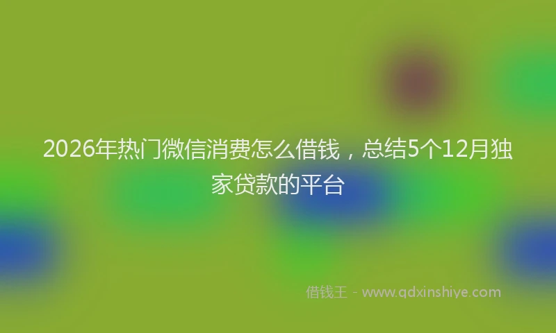2026年热门微信消费怎么借钱，总结5个12月独家贷款的平台