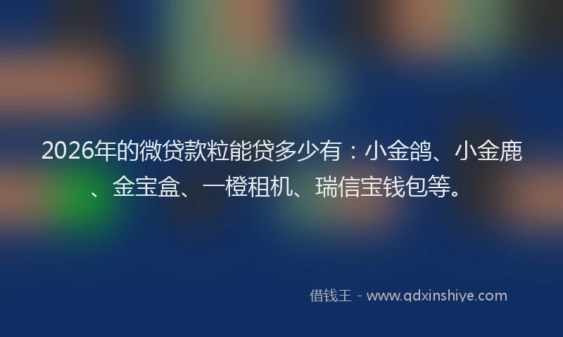 2026年的微贷款粒能贷多少有:小金鸽、小金鹿、金宝盒、一橙租机、瑞信宝钱包等。