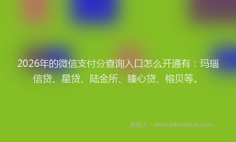 2026年的微信支付分查询入口怎么开通有：玛瑙信贷、星贷、陆金所、臻心贷、榕贝等。