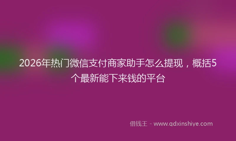 2026年热门微信支付商家助手怎么提现，概括5个最新能下来钱的平台