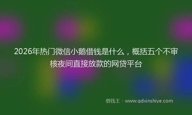 2026年热门微信小鹅借钱是什么，概括五个不审核夜间直接放款的网贷平台