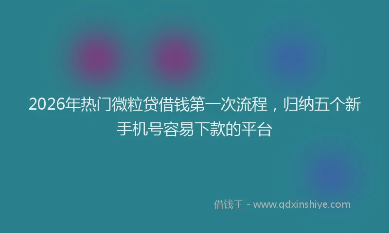 2026年热门微粒贷借钱第一次流程，归纳五个新手机号容易下款的平台