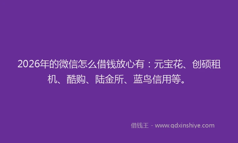 2026年的微信怎么借钱放心有：元宝花、创硕租机、酷购、陆金所、蓝鸟信用等。