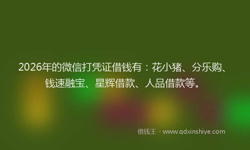 2026年的微信打凭证借钱有:花小猪、分乐购、钱速融宝、星辉借款、人品借款等。