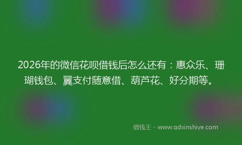 2026年的微信花呗借钱后怎么还有：惠众乐、珊瑚钱包、翼支付随意借、葫芦花、好分期等。