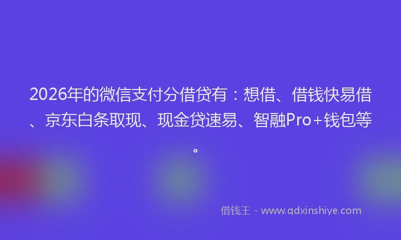 2026年的微信支付分借贷有：想借、借钱快易借、京东白条取现、现金贷速易、智融Pro+钱包等。