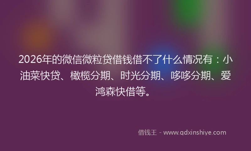 2026年的微信微粒贷借钱借不了什么情况有：小油菜快贷、橄榄分期、时光分期、哆哆分期、爱鸿森快借等。